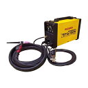 ∀スター電器製造/SUZUKID 【STG-200D】100V/200V兼用直流パルスTIG溶接機 スタルゴン(STArGONDC200) (4991945032866)(4)