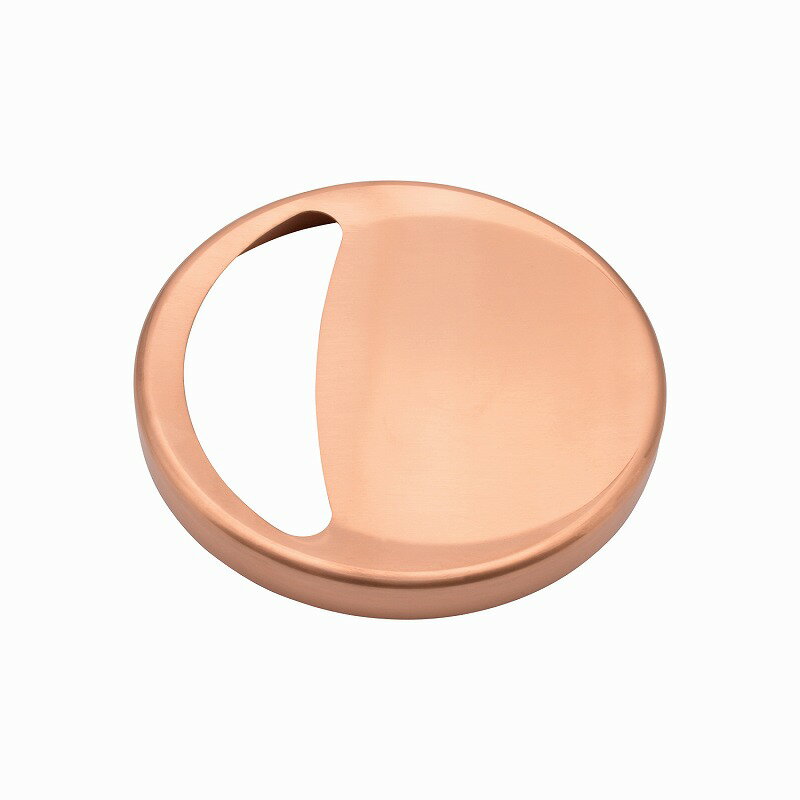 カクダイ/GAONA/ガオナ【GA-PB002】これカモ 流し用排水プレート(銅製) (ゴミを隠す 殺菌効果 ヌメリ・臭い防止 衛生的)〔▽〕