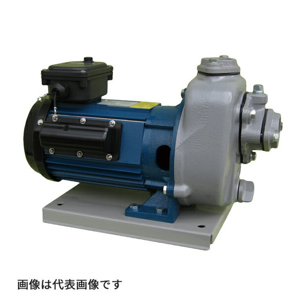  ƥݥ MPT1-0021Rۥץ⡼ݥ MP(2) ᥫ˥륷뼰(ߥåߥܥ) ⡼ 25mm 0.3kWFJ