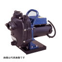 ###寺田 テラダポンプ 【CMP24D-200】セルプラテクポン CMP-D形(2極) 直流24V専用 メカニカルシール式 モーター付 口径25mm 出力0.2kW〔FJ〕(4)