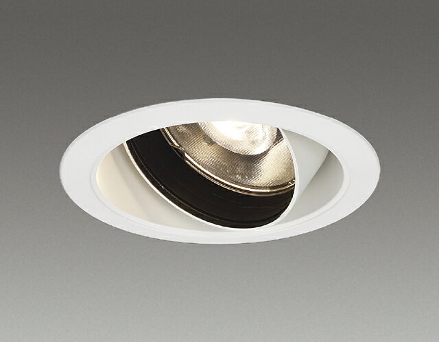 β東芝 照明器具【LEDD-30039FF】LED一体形ダウンライト ユニバーサルDL3000白塗鮮魚用 受注生産 ｛S1｝(3)