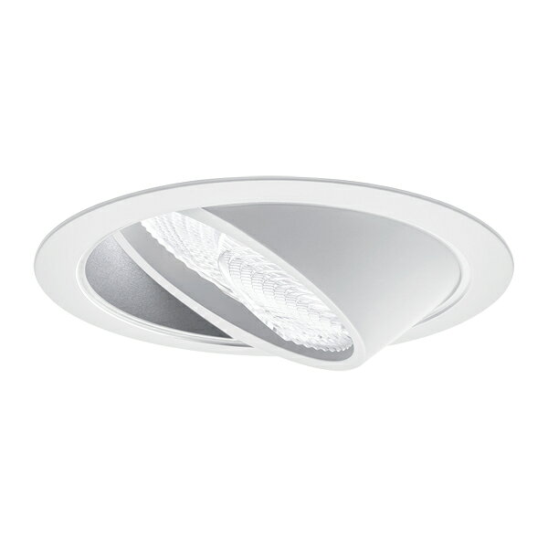 βパナソニック 照明器具【NTS35241S】ウォールウォッシャダウンライト 350・550形 Φ125 4000K 電源ユニット別売 受注生産 {S}