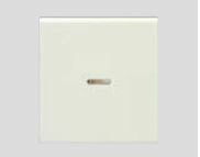 β神保電器 配線器具【WJN-GD】J・WIDEシリーズ 操作板 ダブル マークなし 表示灯付