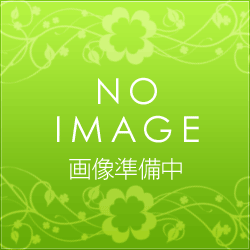 コロナ 除湿機部材 フィルター【CD-AF2】(CDAF2)