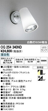 βオーデリック/ODELIC LED電球エクステリアスポットライト【OG254340ND】LEDランプ 昼白色 防雨型