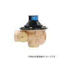 VENN/ベン 水道用減圧弁【RD25SN-F20】温水ボイラ 簡易ボイラ 電気温水器用 水道水 呼び径20〔HF〕