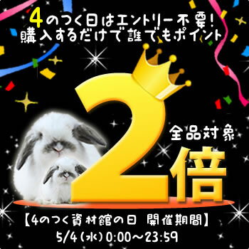 【カード対応OK！】◆15時迄出荷OK！台数限定！安永【AP-40】電磁式エアーポンプ