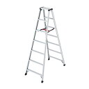 ####Ξ長谷川工業 【RZ-21c】脚立 RZ 脚軽 軽量 天板高さ1.99m 質量7.5kg