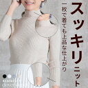<23:59迄争奪60%クーポンで1712円!>即納 ハイネック リブ ニット セーター tシャツ ニットソー レディース リブニット 長袖 カジュアル 無地 ...