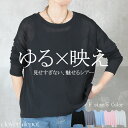 <60%OFFクーポンで1592円!>重ね着 レイヤード ファンデーションインナー シアー カットソー 紫外線対策 シアートップス ニュアンスカラー 韓国ファッション 痩せ 見え レディース 透け感 伸縮性 長袖 薄手 UVケア きれいめ かわいい 涼しい ラウンドネック