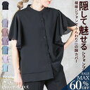 <23:59迄55%OFFで2322円!2点~>即納 トップス シャツ フリル スリーブ ラッフルスリーブ ブラウス レディース ファッション 半袖 シフォン ...