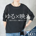 <23:59迄52%OFFで1910円!2点~>重ね着 レイヤード ファンデーションインナー シアー カットソー 紫外線対策 シアートップス ニュアンスカラー 韓国ファッション 痩せ 見え レディース 透け感 伸縮性 長袖 薄手 UVケア きれいめ かわいい 涼しい ラウンドネック