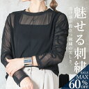 <23:59迄52%OFFで3350円!2点~>シースルー トップス シアー カットソー 長袖 重ね着 透け感 インナー メロウハイネック tシャツ レディース 春夏 黒 白 カットソー チュニック 無地 きれいめ ハイネック 透け チュール ブラック ホワイト ゆったり ロンt オフィス