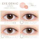 カラコン アイジェニック バイ エバーカラー 1箱2枚 度なし 1ヶ月 EYEGENIC by Ever Color ナチュラルシリーズ キュートシリーズ ハーフシリーズ ワンマンス マンスリー カラーコンタクト 2