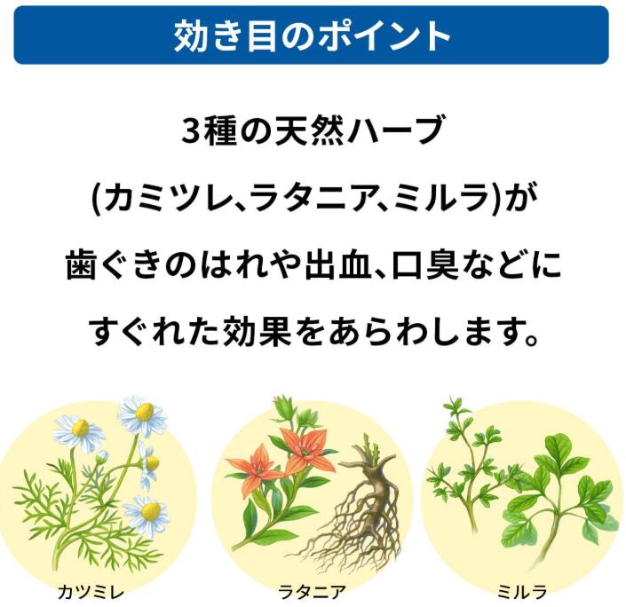 (第3類医薬品)アセス ( 160g )/ アセス ( 歯周病のための医薬品 研磨剤不使用 天然...