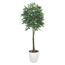 《アートグリーン》《人工観葉植物》光触媒 光の楽園 パキラ2.0