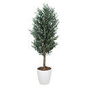 《アートグリーン》《人工観葉植物》光触媒 光の楽園 オリ−ブ1.8