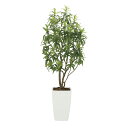 《アートグリーン》《人工観葉植物》光触媒 光の楽園 フレッシュドラセナW1.8