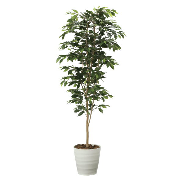 《アートグリーン》《人工観葉植物》光触媒 光の楽園 ベンジャミン1．8