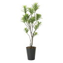 《アートグリーン》《人工観葉植物》光触媒 光の楽園 フレッシュドラセナ1.8