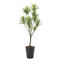 《アートグリーン》《人工観葉植物》光触媒 光の楽園 フレッシュドラセナ1.45