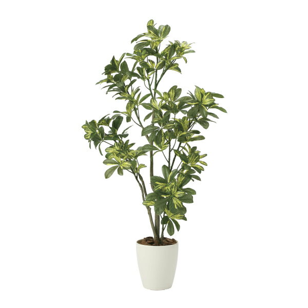 《アートグリーン》《人工観葉植物》光触媒 光の楽園 シェフレラ1．15