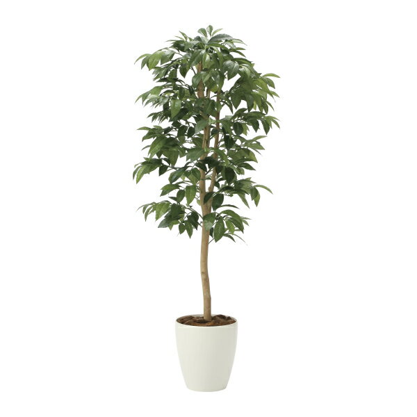 《アートグリーン》《人工観葉植物》光触媒 光の楽園 アルデシア（万両）1．3