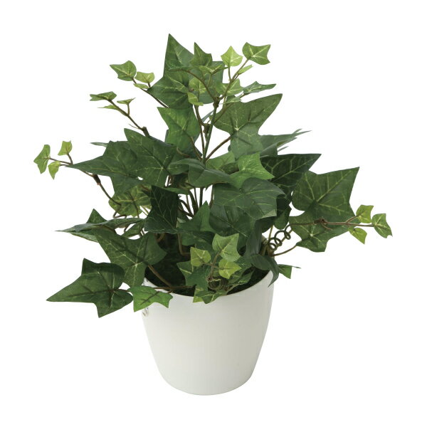 《アートグリーン》《人工観葉植物》光触媒 光の楽園 アイビ－