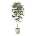 《アートグリーン》《人工観葉植物》光触媒 光の楽園 トネリコ1.8