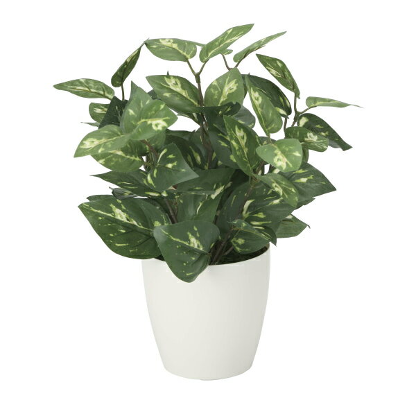 《アートグリーン》《人工観葉植物》光触媒 光の楽園 ポトスM