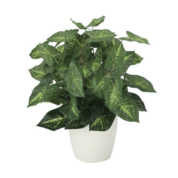 乐天商城 - 《アートグリーン》《人工観葉植物》光触媒　光の楽園　カラジュ－ムM