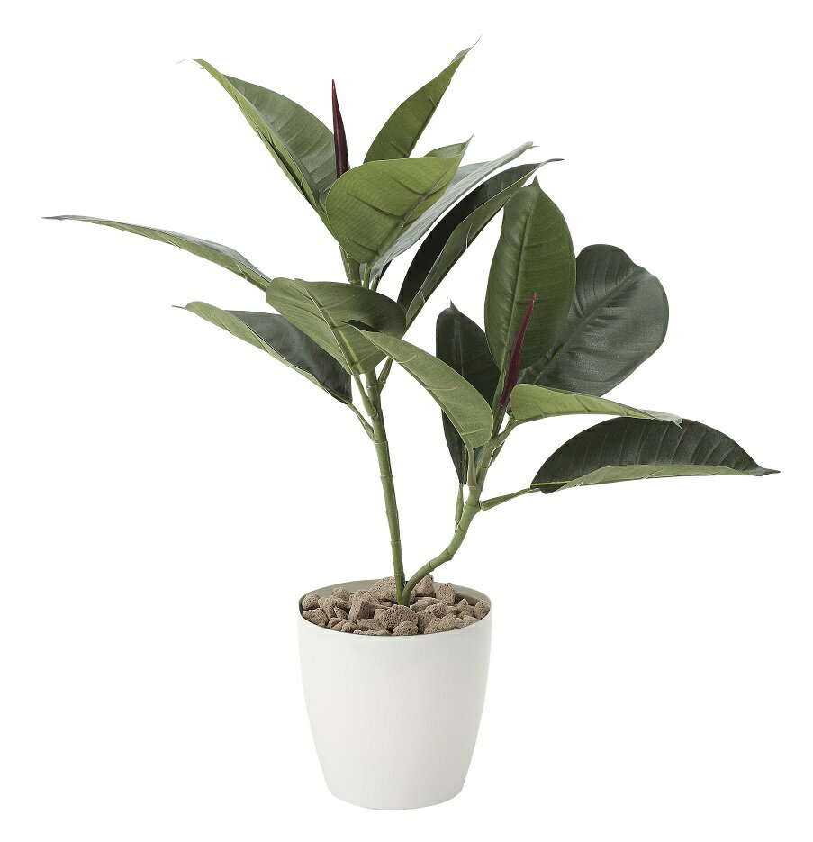 商品名 ゴムの木 サイズ W30×D40×H47cm 生産国 日本 加工 光触媒加工（V-CAT） 説明 酸化チタン光触媒は、植物の葉緑素が光のエネルギーを使って二酸化炭素を酸素に変えるように、太陽の光や可視光（屋内の目に見える光）のエネルギーを使って、種々の有機物やニオイを分解する作用があります。「光の楽園」には、株式会社豊田中央研究所が開発した可視光応答型光触媒「V-CAT」を使用し、高い消臭・抗菌・防汚・ホルムアルデヒドの分解力を備えた、より快適な環境を提供できるようになっています。 ※取扱いについて ■人工ですので水をやらないで下さい。 ■風雨の当たる屋外でのご使用は避けてください。 ■花弁や葉が万が一折れ曲がったり、変形してる場合は、ヘアードライヤーを使い軽く低温風を吹きつけながら形を整えてください。決して他の器具を使ったり、高温で行わないでください。変形や剥離の原因になります。 ■汚れが目立つときは、柔らかいハケを使うか濡れタオルなどで軽くふき取ってください。 ■洗剤での洗浄は破損や脱色の恐れがあります。 ■暖房器具等のすぐそばに置かないでください。火災や変形変色の原因となることがあります。 ■家具等の上でひきずることはしないでください。傷をつける恐れがあります。 ■使用の花材料は食べられません。 ※特記事項 手作り商品の為、形、花弁や葉の配置、バランス、サイズ、カラー等が若干異なって見える場合がございます。また鉢のデザイン・形状等は予告なしに変更する事があり、画像のものと異なる場合がございます。それによる返品はお受けできませんので、予めご了承願います。 商品発送までに4〜6営業日ほどお時間が掛かります。光の楽園 酸化チタン光触媒について キレイなだけじゃないんです。 [人に優しい光触媒の人工植物の4つのチカラ] 酸化チタン触媒は、植物の葉緑素が光のエネルギーを使って二酸化炭素を酸素に変えるように太陽の光や可視光（屋内の目に見える光）のエネルギーを使って、種々の有機物やニオイを分解する作用があります。 「光の楽園」には株式会社豊田中央研究所が開発した可視光応答型光触媒「V-CAT」を使用し、高い消臭・抗菌・防汚・ホルムアルデヒドの分解力を備えた、より快適な環境を提供できるようになっています。 信頼の証　JIS規格性能試験をクリア！ このたび、「光の楽園」は、信頼の証であるJIS規格性能試験において、空気浄化（アセトアルデヒド）JIS R1701-2をクリアしました。 登録：2010−0001 空気浄化（アセトアルデヒド) PIAJマークは日本国内唯一の光触媒業界団体である光触媒工業会が、JIS試験準拠による光触媒の性能を有した製品であることを認めた製品の証です。 測定方法はJIS R1701-2に準拠しました。 光触媒等の種類 酸化チタン素材 光触媒等加工部位 葉の表面、裏面 光触媒等の効果 1.測定方法はJIS R1701-2に準拠しました。 2.空気浄化 （アセトアルデヒド） アセトアルデヒド 除去量*1 1 6.7μmol/h この製品を部屋の容積1m3あたり0．025m2の面積使用にて空気中のアセトアルデヒドを10％低減させる効果が期待できます。 使用できる場所 窓から太陽光が入ってくる住宅・建造物の室内 安全性 急性経口毒性、皮膚一次刺激性、変異原性について、光触媒工業会の安全基準を満足していることを確認しています。 使用上の注意 表面に過度の汚れが付着していると、十分な効果が得られませんので、定期的な表面の埃等の清掃をお勧めします。 また、実際の効果は、本製品が使用される面積、本製品に照射される紫外光の強さ、使用される部屋の容積、使用される部屋の換気量に依存します。 *1 光触媒工業会の認証基準はアセトアルデヒド除去量0．17μmol/h以上です。この数値は、50cm2あたりのアセトアルデヒド除去量であり、この数値が　　高いほど室内のアセトアルデヒドを低減させる効果が高くなります。 V-CATの特徴 （株）豊田中央研究所で開発した可視光型光触媒は紫外線のみならず波長520nm以下の可視光にも高い触媒活性を発揮します。 消臭効果：光の楽園V-CATは可視光下において消臭効果を発揮します。 抗菌効果：光の楽園V-CATは可視光下において抗菌性を発揮します。 こちらの商品は品質特性上、不良品以外の返品はお断りさせて頂いております。 メーカー直送のため、代金引換はご利用できません。 お届けまでに一週間前後お時間が掛かります。