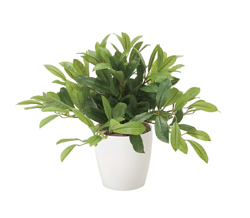 《アートグリーン》《人工観葉植物》光触媒 光の楽園 ロ―レル