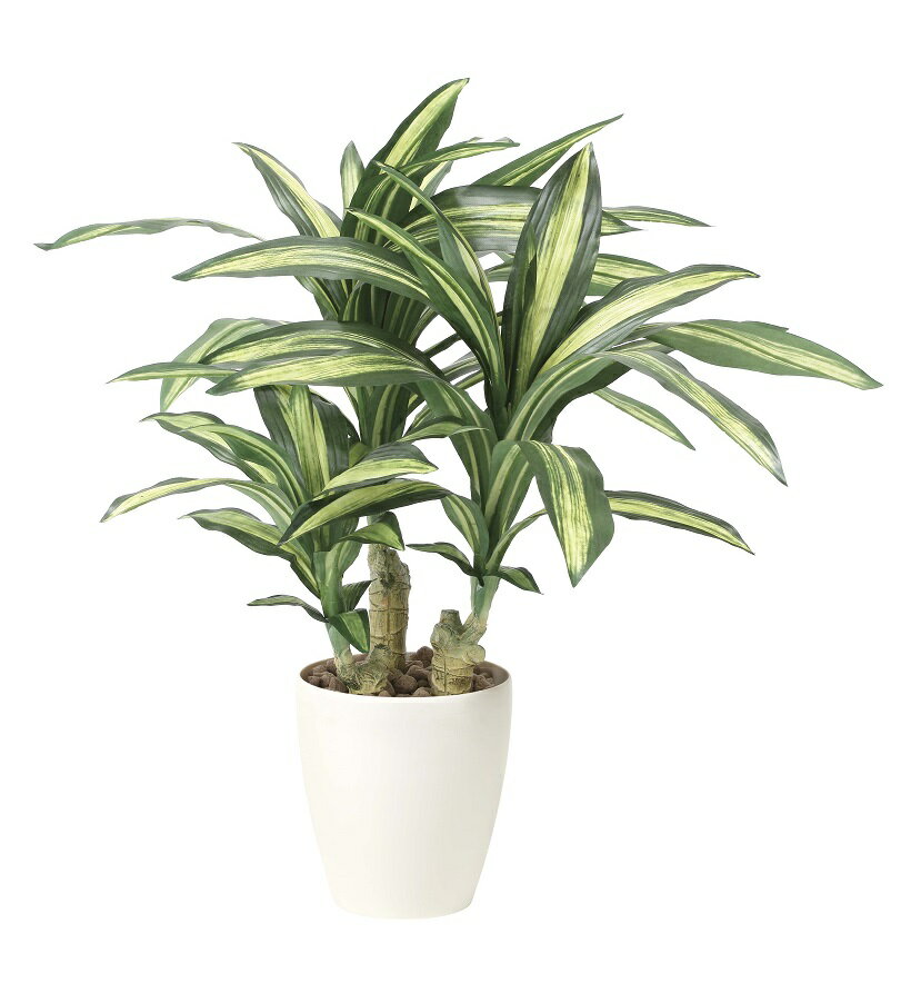 《アートグリーン》《人工観葉植物》光触媒 光の楽園 幸福の木S