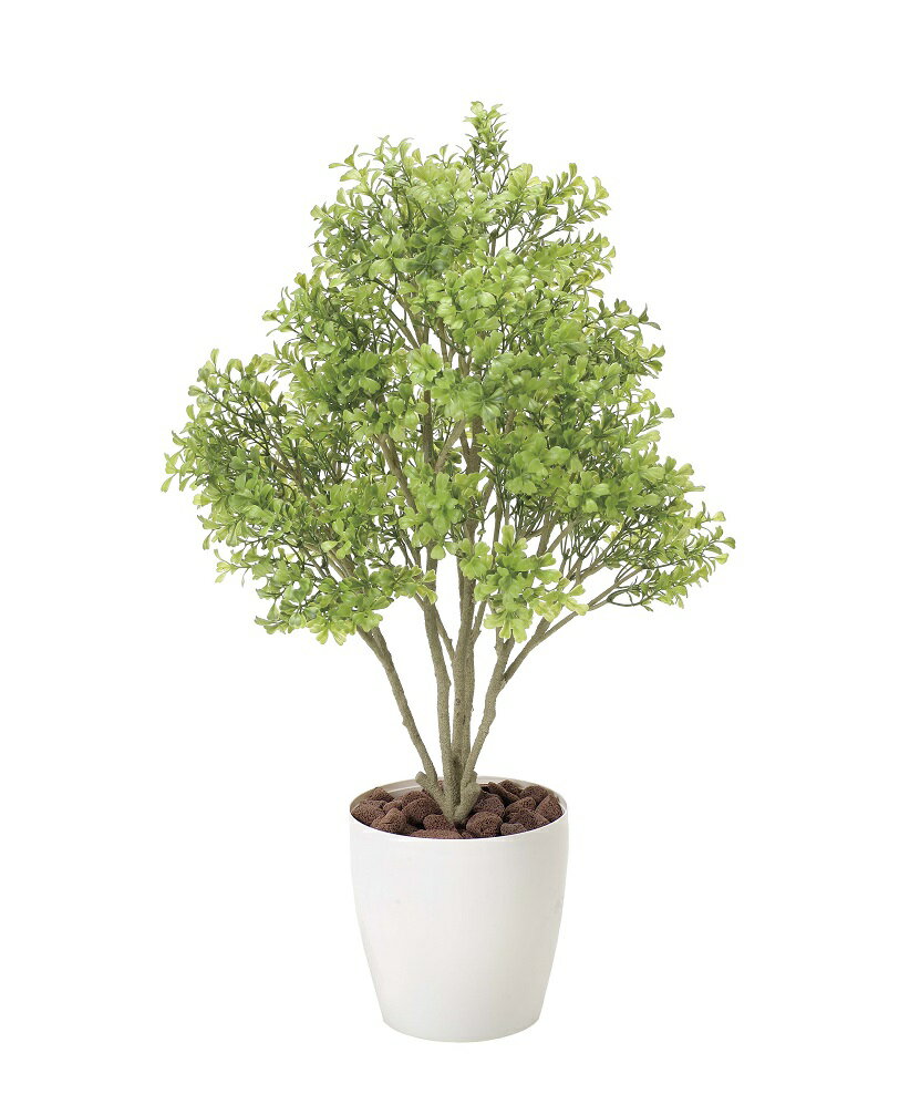 《アートグリーン》《人工観葉植物》光触媒 光の楽園 ボックスウッド