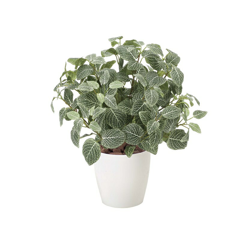 《アートグリーン》《人工観葉植物》光触媒 光の楽園 フィットニアM