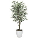 《アートグリーン》《人工観葉植物》光触媒 光の楽園 ベンジャミンツリ−斑入り1.8