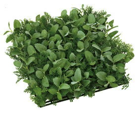 《アートグリーン》《人工観葉植物》光触媒 光の楽園 ハ－ブナチュラルマット