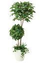 《アートグリーン》《人工観葉植物》光触媒 光の楽園 ベンジャミンダブルフェイス植栽付1.8