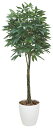 《アートグリーン》《人工観葉植物》光触媒 光の楽園 パキラ1.6