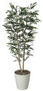 《アートグリーン》《人工観葉植物》光触媒 光の楽園 トネリコ1.8