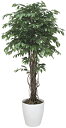 《アートグリーン》《人工観葉植物》光触媒 光の楽園 ベンジャミンリアナ1.8