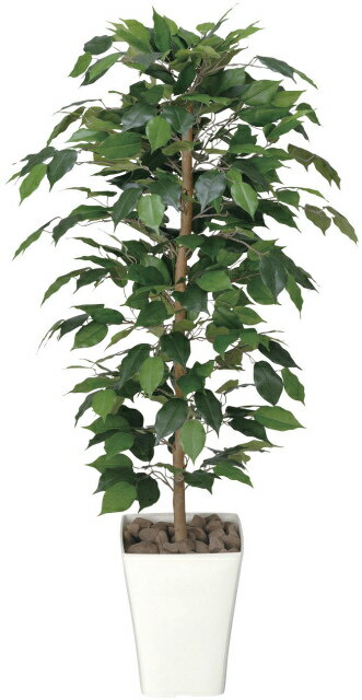 《アートグリーン》《人工観葉植物》光触媒 光の楽園 フィカスベンジャミン1．2