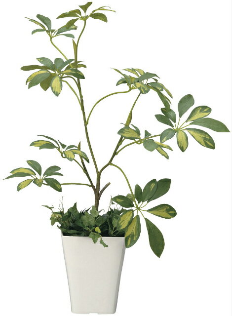 《アートグリーン》《人工観葉植物》光触媒 光の楽園 シェフレラ