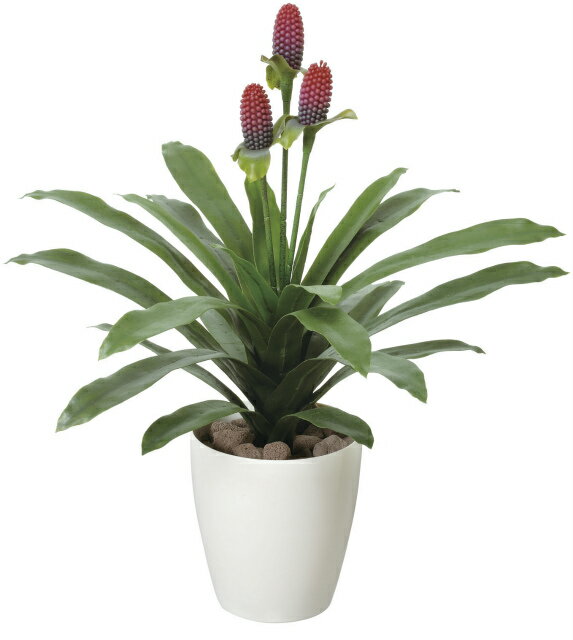 《アートグリーン》《人工観葉植物》光触媒 光の楽園 マガベ花付