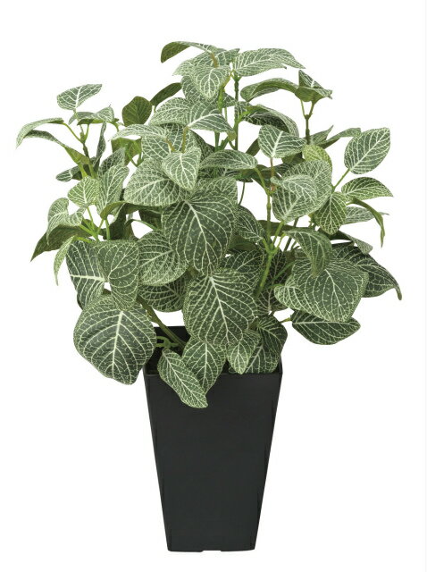 《アートグリーン》《人工観葉植物》光触媒 光の楽園 フィットニアS