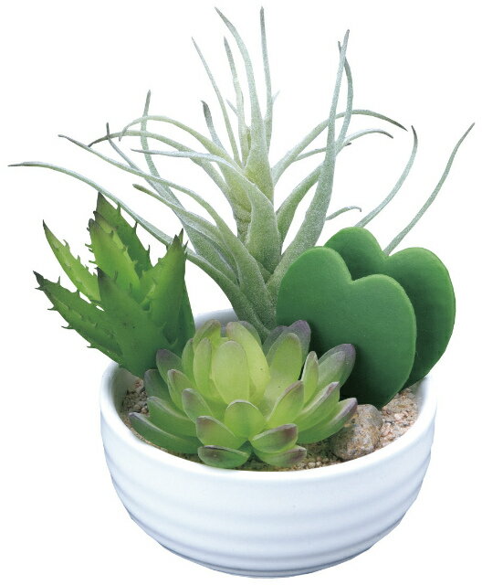 《アートグリーン》《人工観葉植物》光触媒 光の楽園 寄せ植えラブリ―