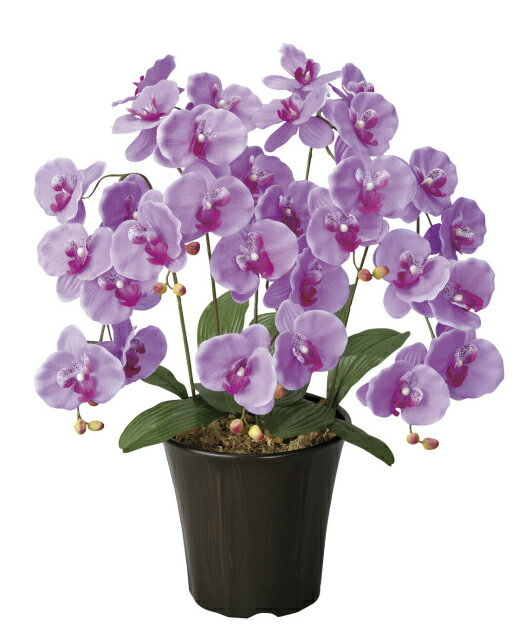 《アートフラワー》《造花》光触媒 光の楽園 エンジェル胡蝶蘭L