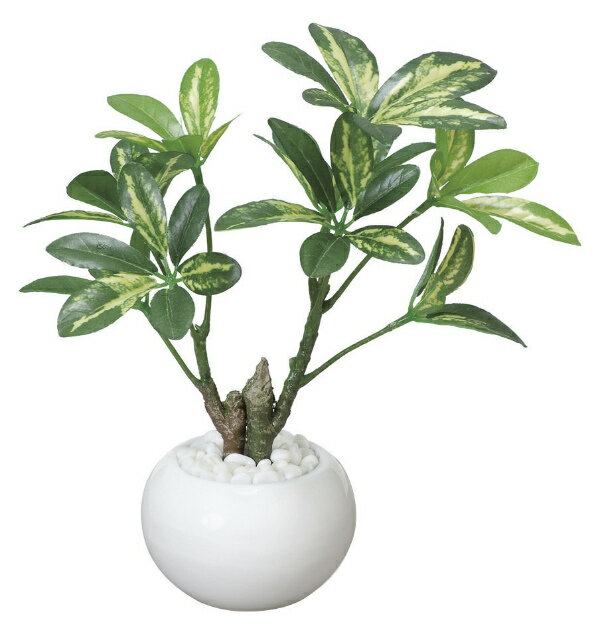 《アートグリーン》《人工観葉植物》光触媒 光の楽園 シェフレラポット