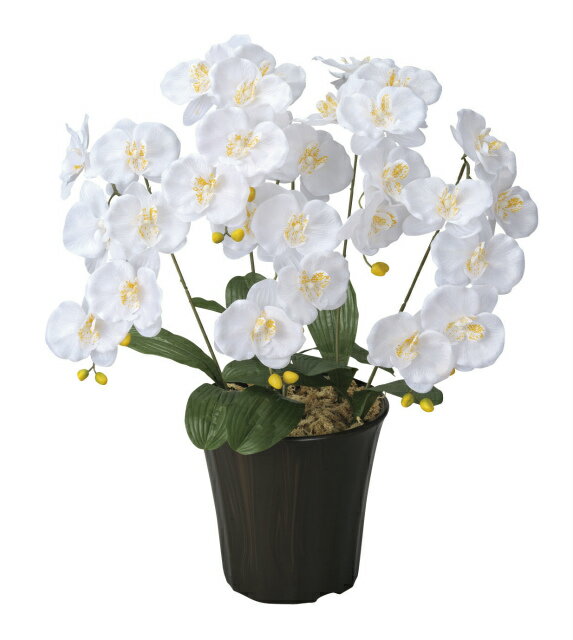 《アートフラワー》《人工観葉植物》光触媒 光の楽園 エンジェル胡蝶蘭W